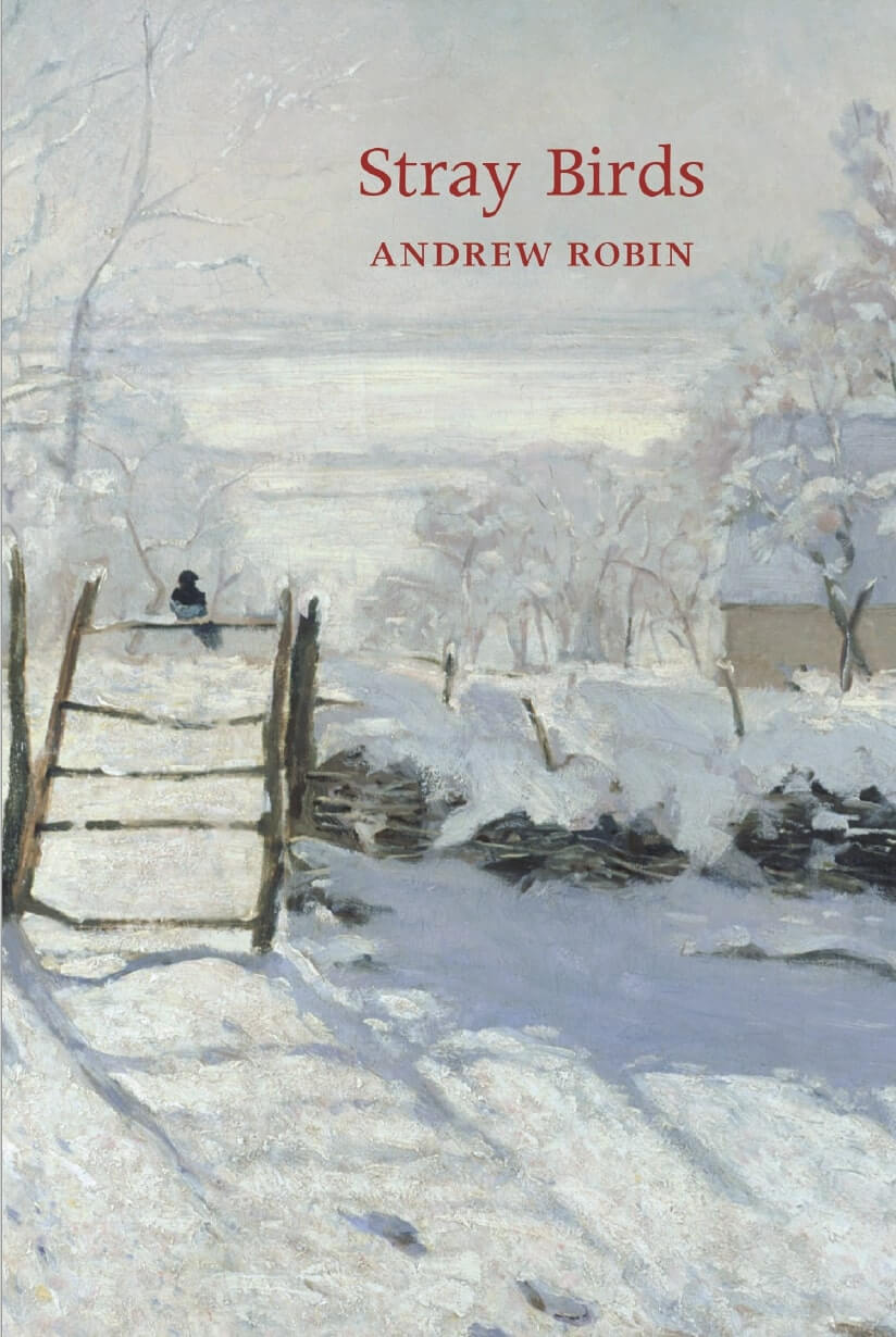 Book cover of Stray Birds by Andrew Robin