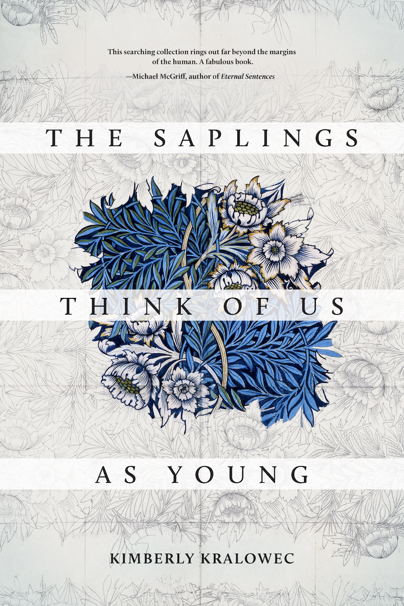 The Samplings Think of Us As Young poetry cover by Kimberly Krawolec